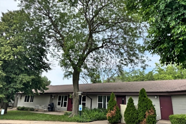 603 Prospect Street, Cambridge, IL