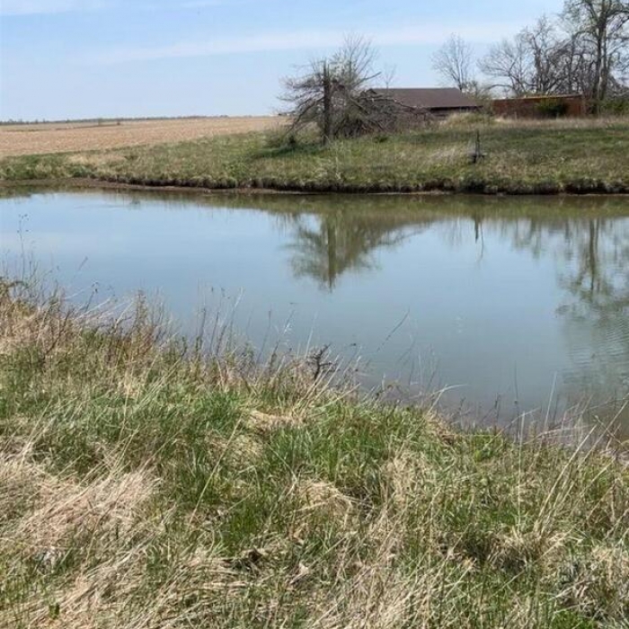 photo of property 12454468