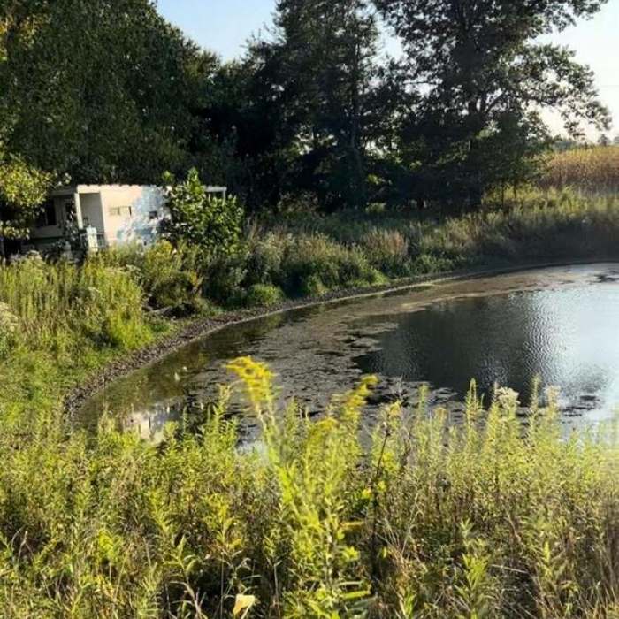 photo of property 12454468