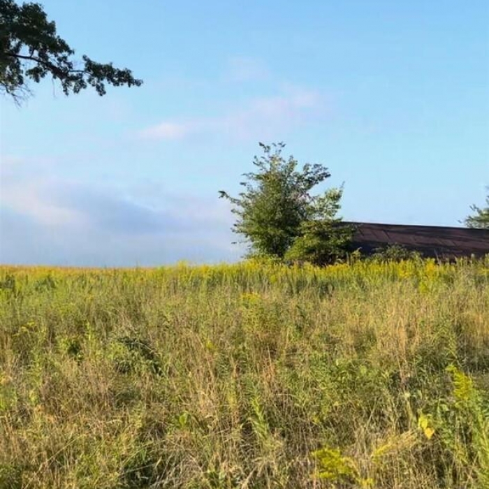 photo of property 12454468