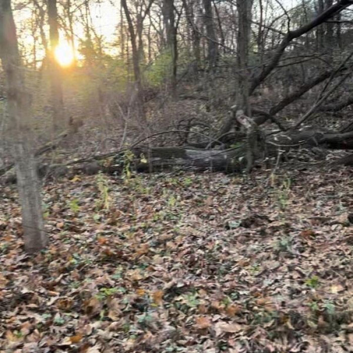 photo of property 12454468