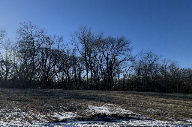 300 Mason Drive, Riverdale, IA
