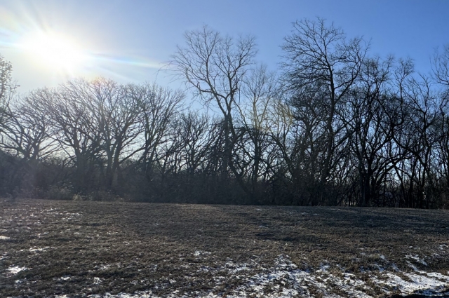 296 Mason Drive, Riverdale, IA