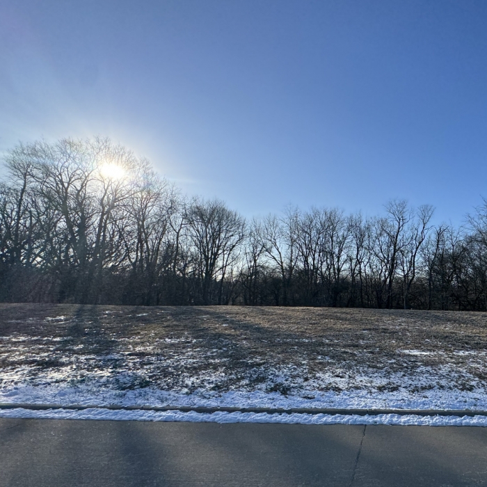 photo of property 12555919