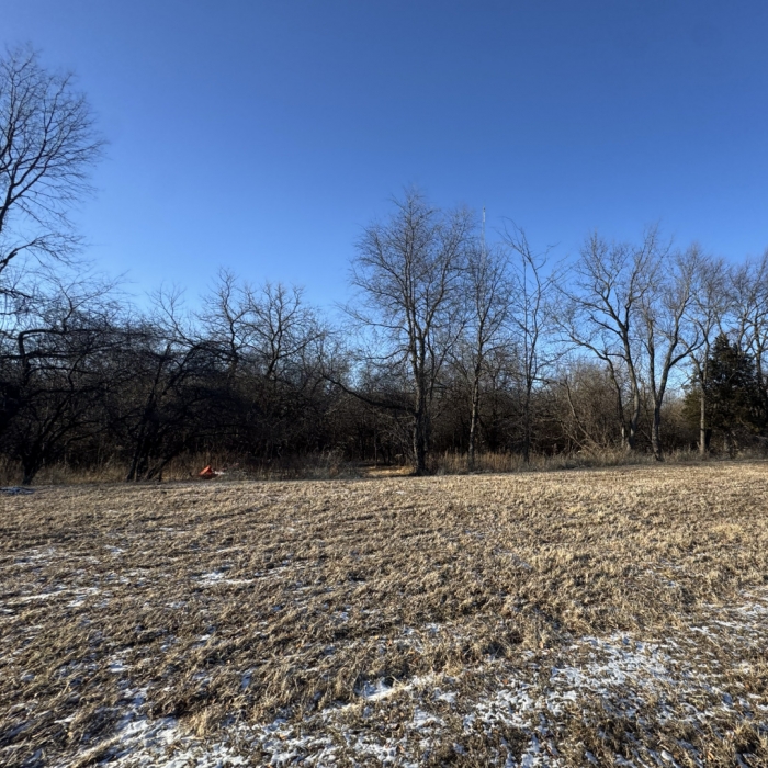 photo of property 12555919