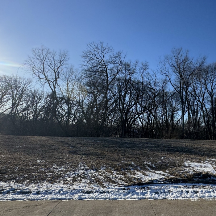 photo of property 12555922