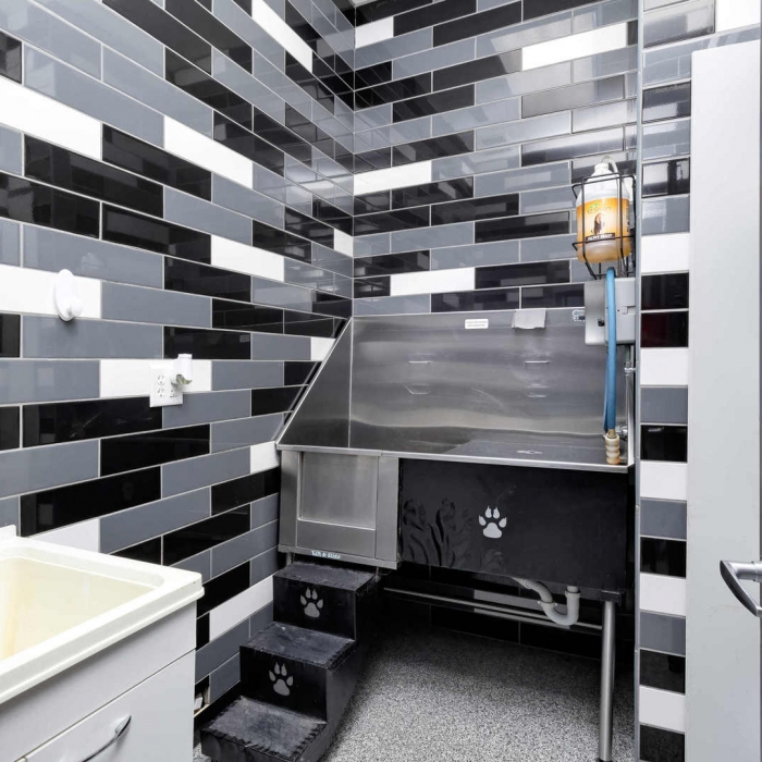 photo of property 12573295