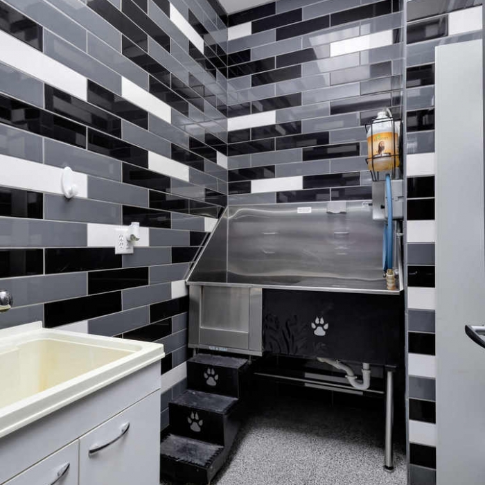 photo of property 12575290