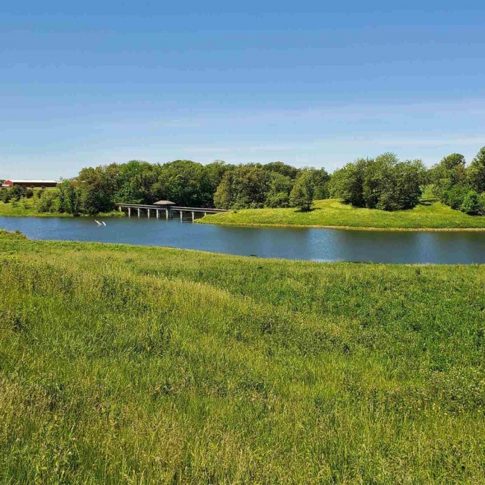 photo of property 12576032