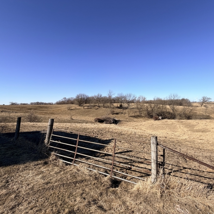 photo of property 12576471