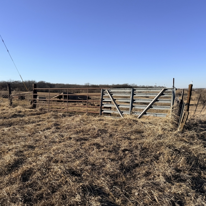photo of property 12576471