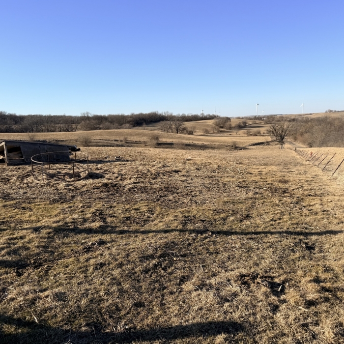 photo of property 12576471