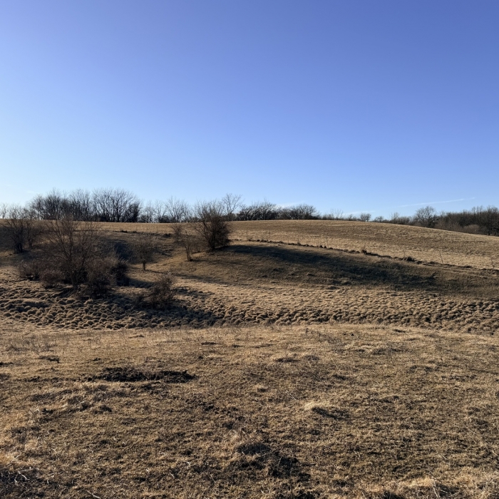 photo of property 12576471