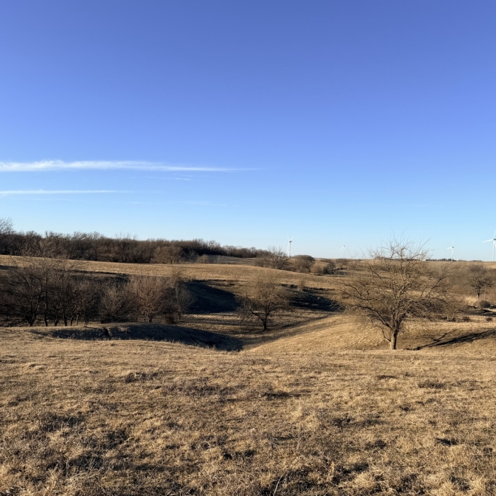photo of property 12576471