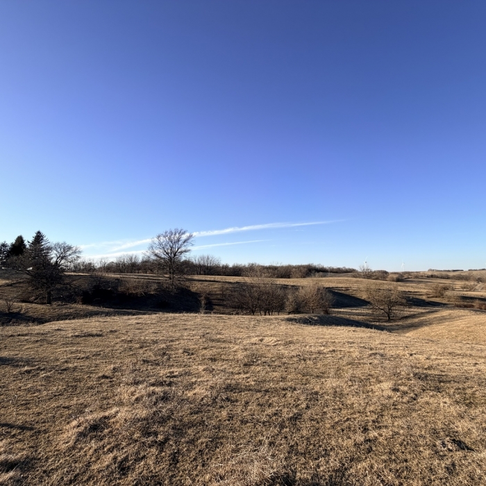 photo of property 12576471