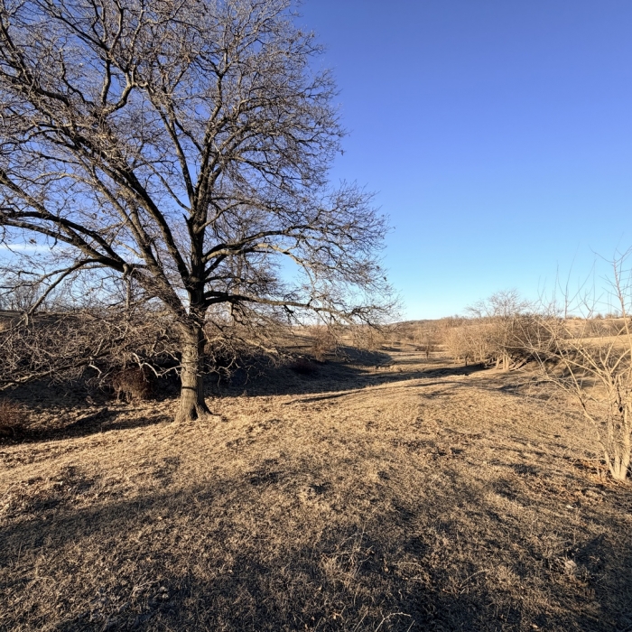 photo of property 12576471