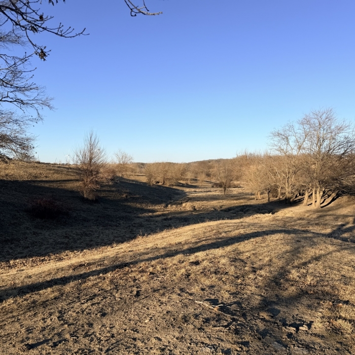 photo of property 12576471