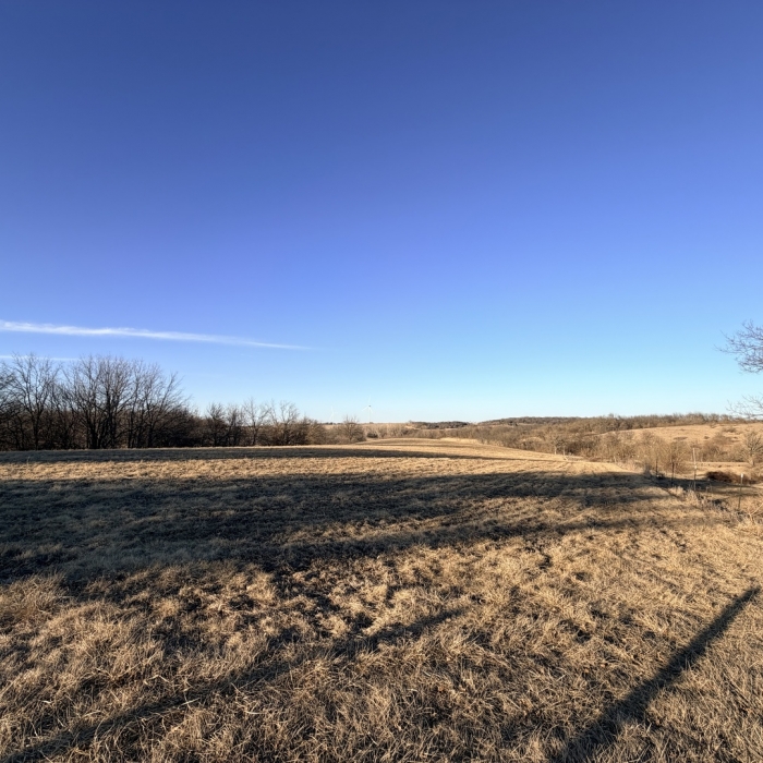 photo of property 12576471