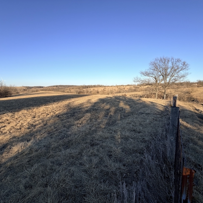 photo of property 12576471
