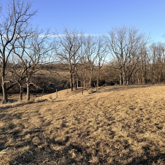 photo of property 12576471