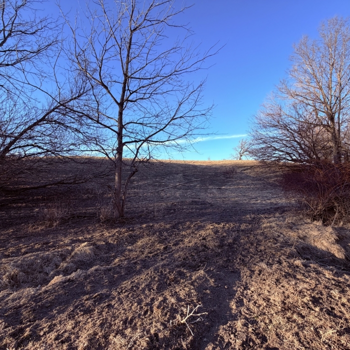 photo of property 12576471