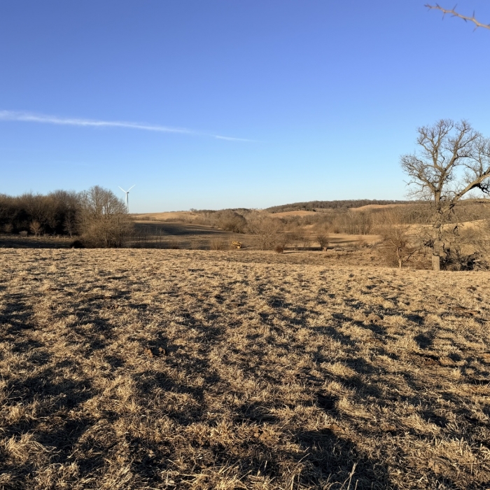 photo of property 12576471