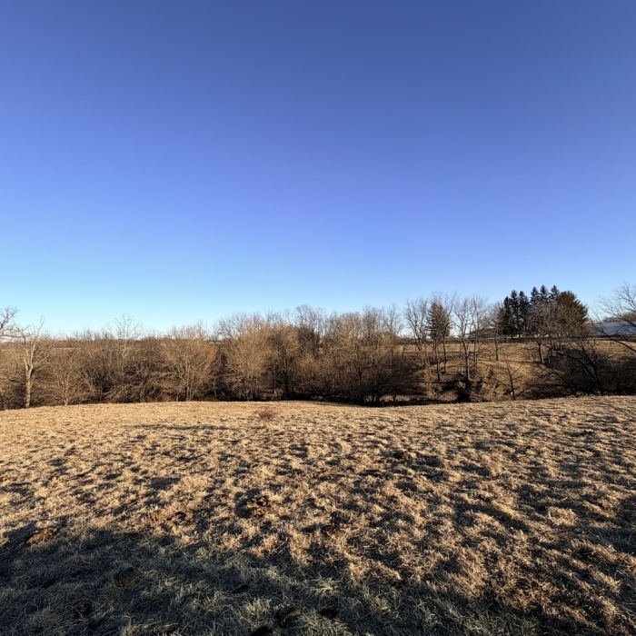 photo of property 12576471