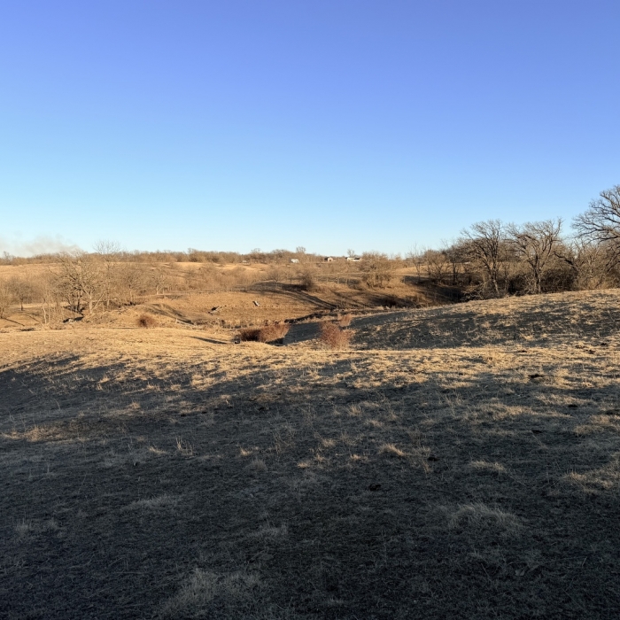 photo of property 12576471