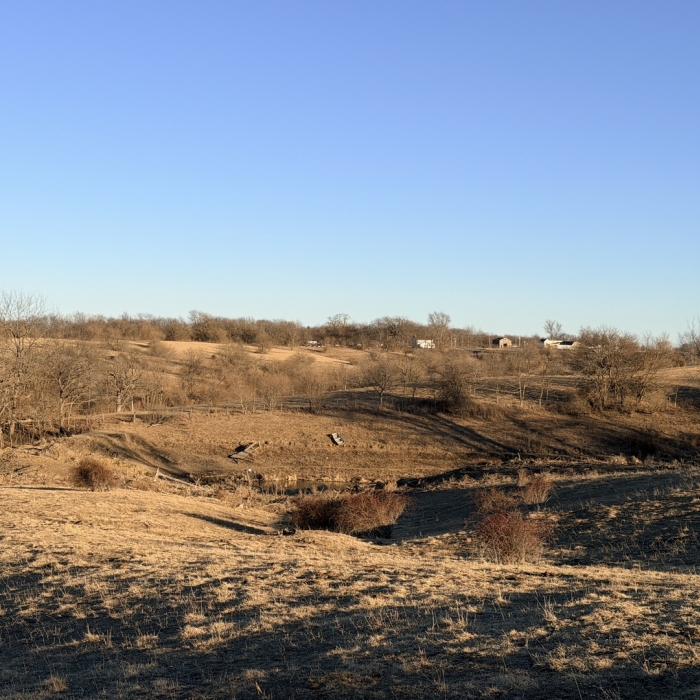 photo of property 12576471