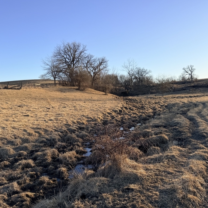 photo of property 12576471