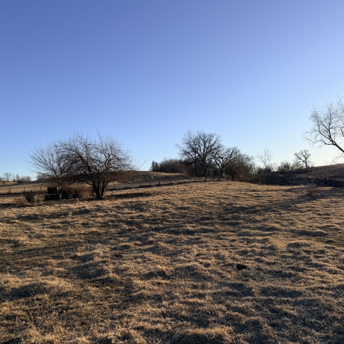 photo of property 12576471