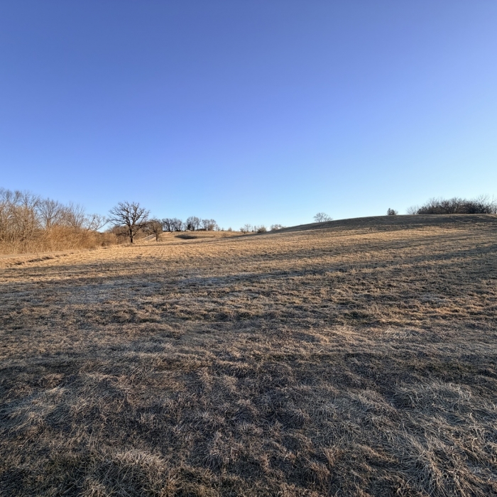 photo of property 12576471
