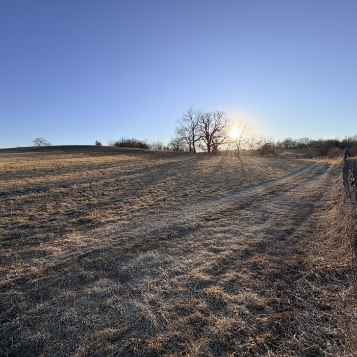 photo of property 12576471