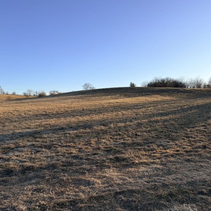 photo of property 12576471