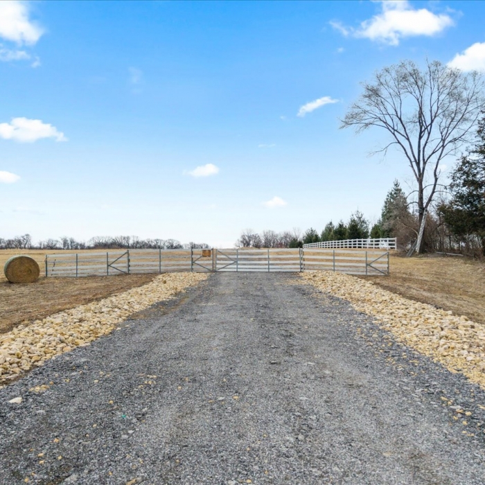 photo of property 12578244