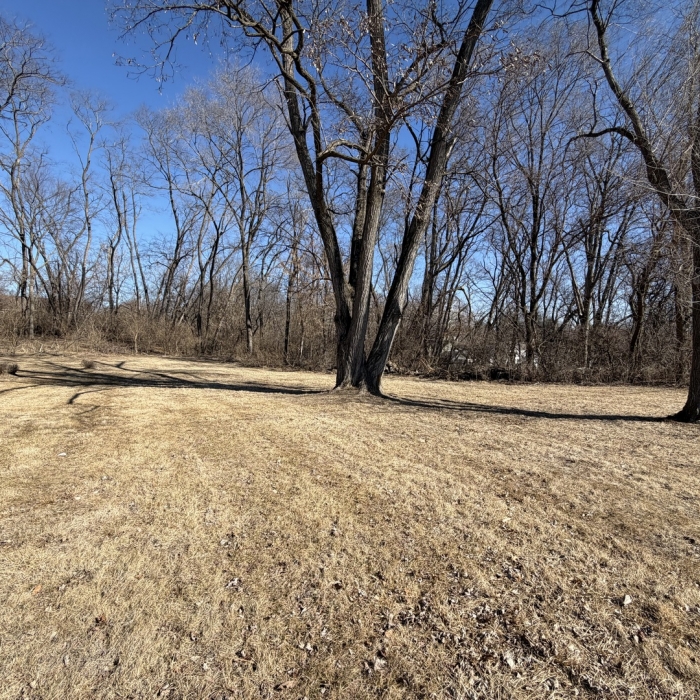 photo of property 12583173