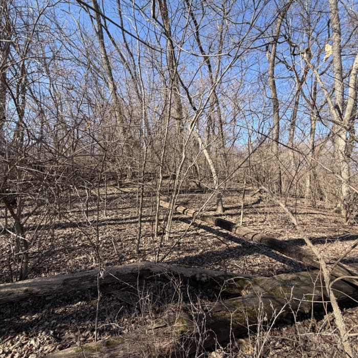 photo of property 12583173