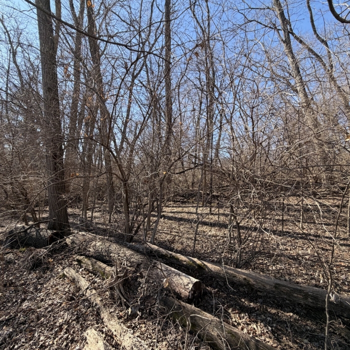photo of property 12583173