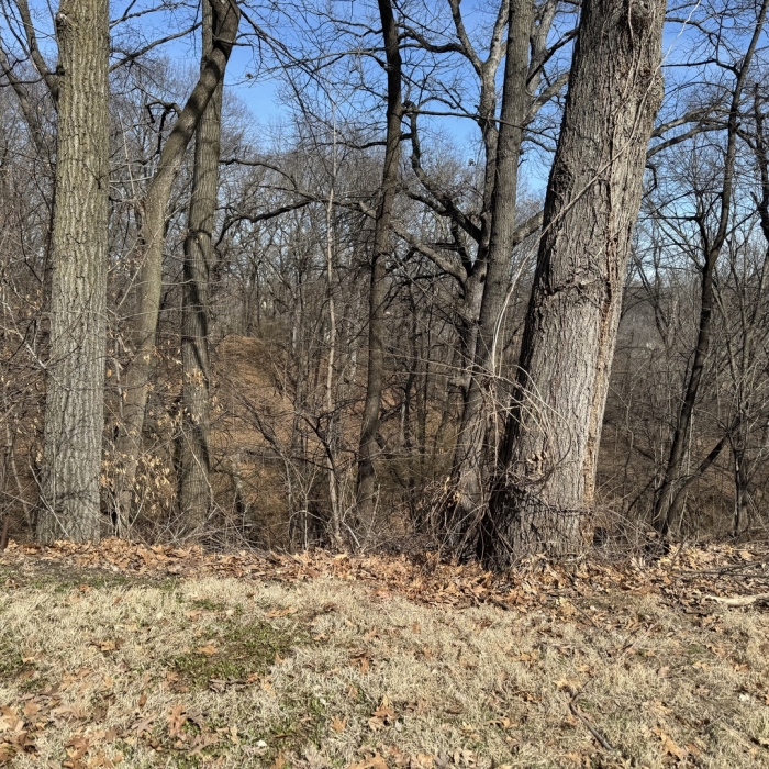 photo of property 12589367