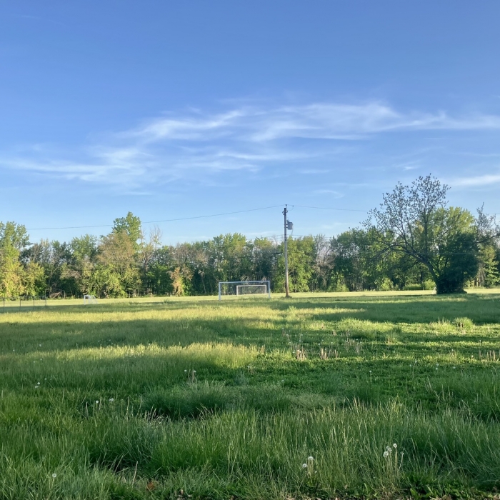photo of property 12590087