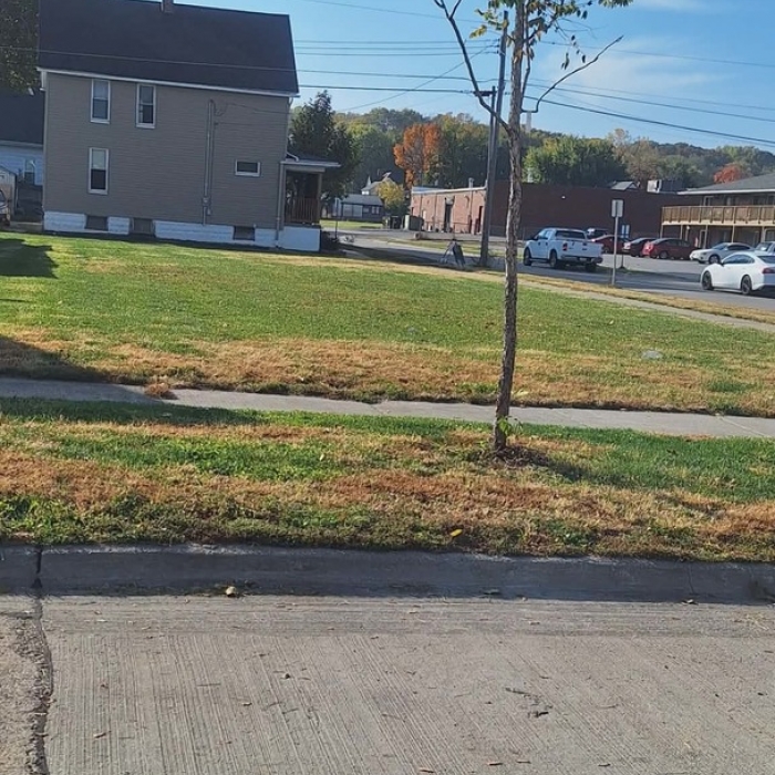 photo of property 12593329