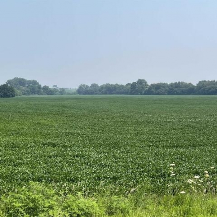 photo of property 12600172