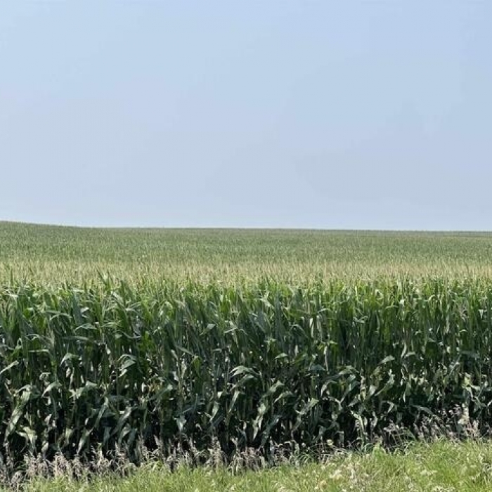photo of property 12600172