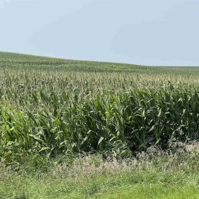 photo of property 12600172