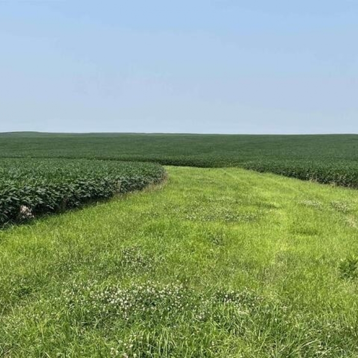 photo of property 12600172