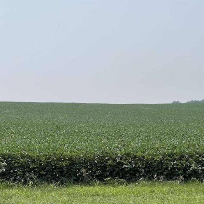 photo of property 12600172