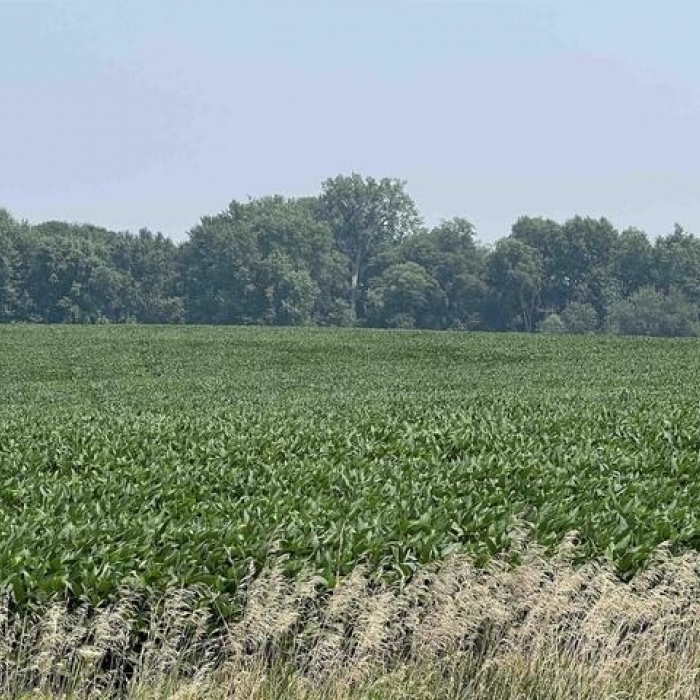 photo of property 12600172