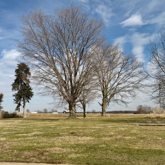 photo of property 12602691