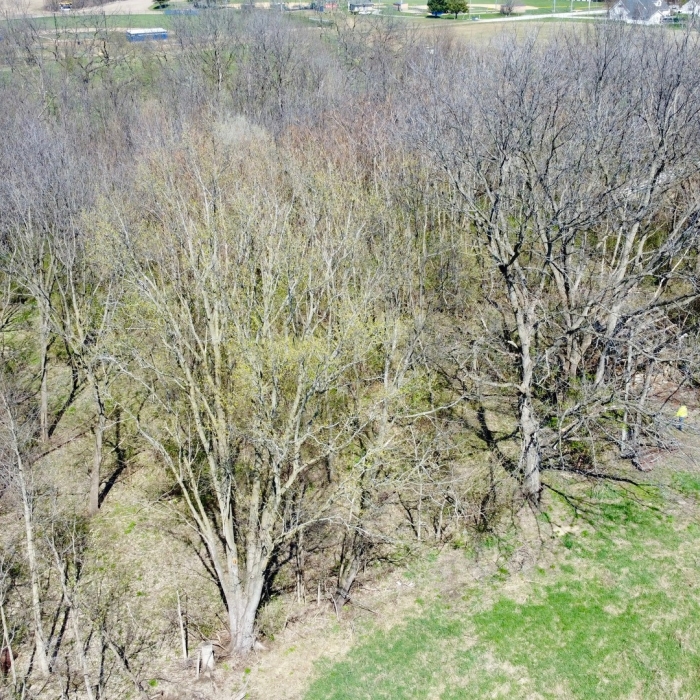 photo of property 12612454
