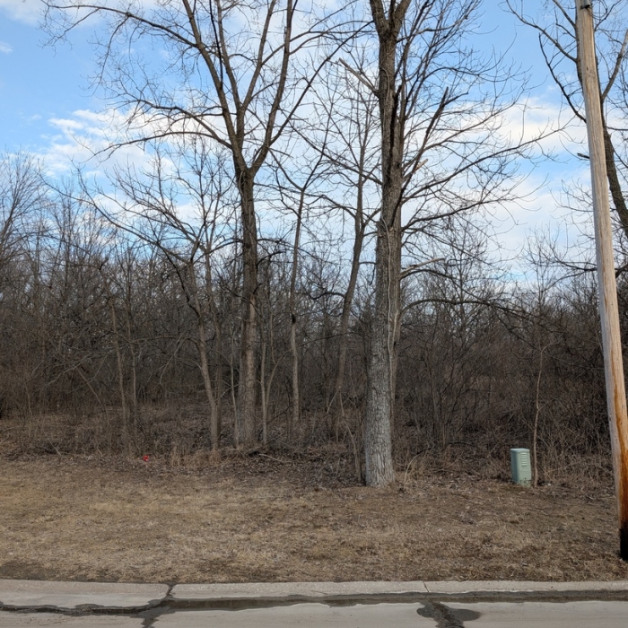 photo of property 12612522